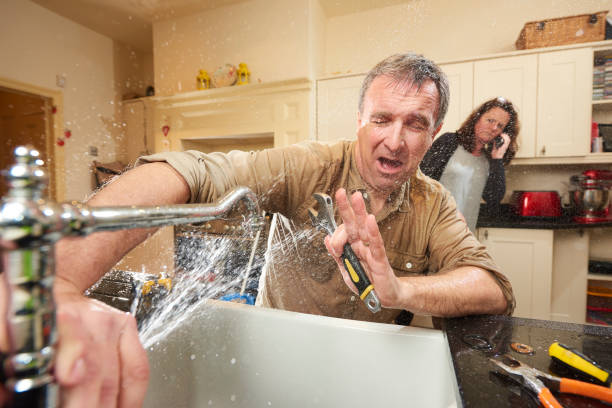 Best Carpet water damage restoration  in Scanlon, MN